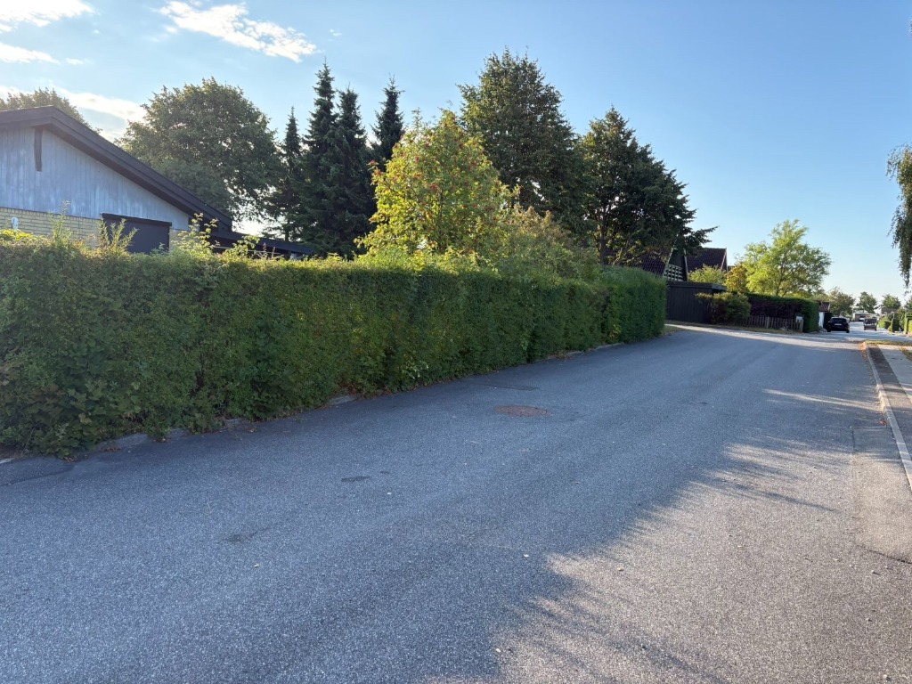 Hækkeklipning i Frederikssund
