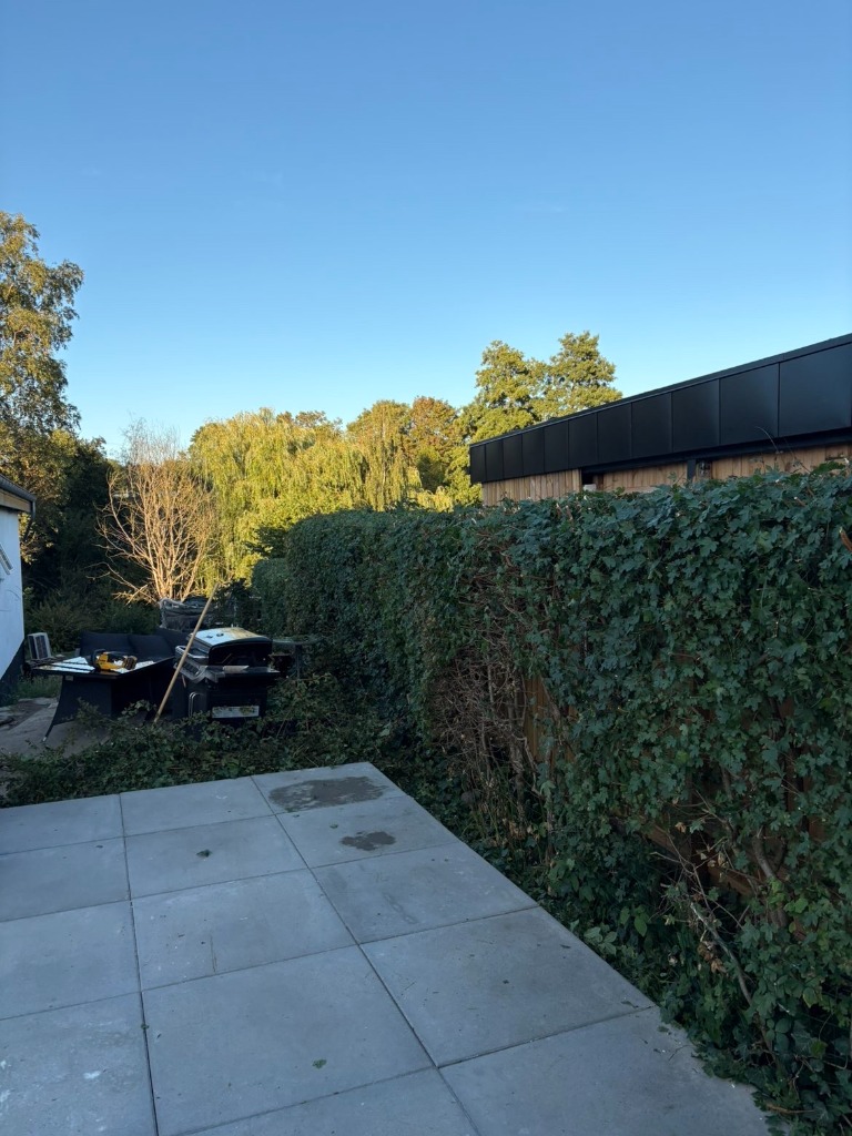 Terrasse & hæk: Før vild og overgroet ➔ Efter snorlige og skarpt klippet - EFTER
