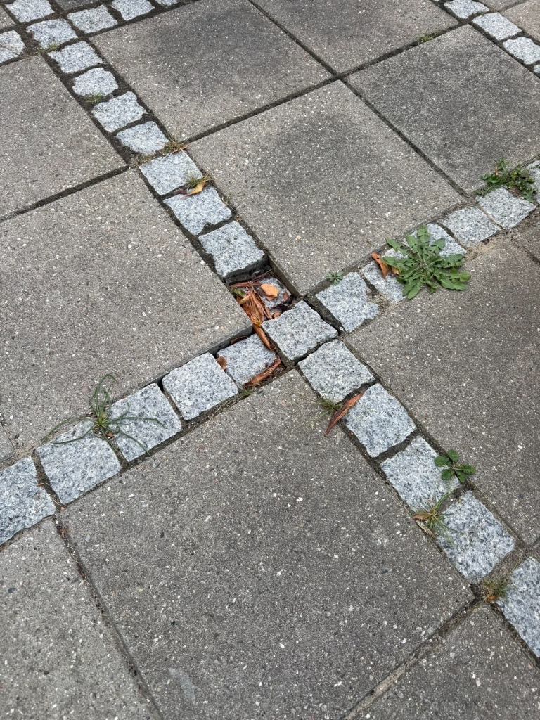 Nye sten mellem fliser